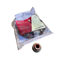 Načíst obrázek do prohlížeče Galerie, Valve Stem Seal Set - Bukhanka (Classic 2.4L &amp; 2.9L), Hunter &amp; 469 OEM 24-1007036 - - UAZ spare parts