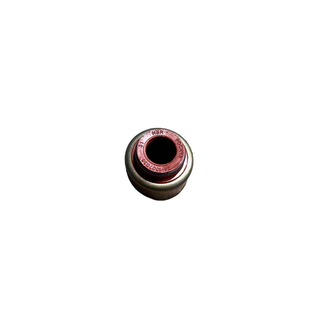 Valve Stem Seal Set - Bukhanka (Classic 2.4L & 2.9L), Hunter & 469 OEM 24-1007036 - - UAZ spare parts